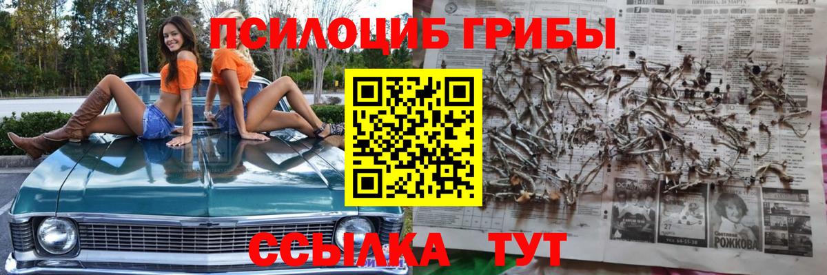 Ярославль  Псилоцибиновые грибы Psilocybe  Вход с VPN  Псилоцибиновые грибы прущие грибы 