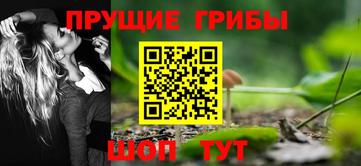 Псилоцибиновые грибы GOLDEN TEACHER Ярославль